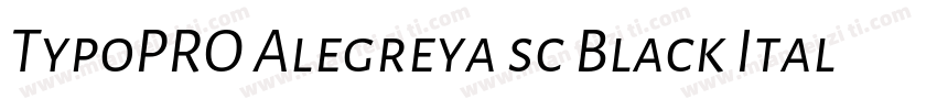 TypoPRO Alegreya sc Black Italic字体转换